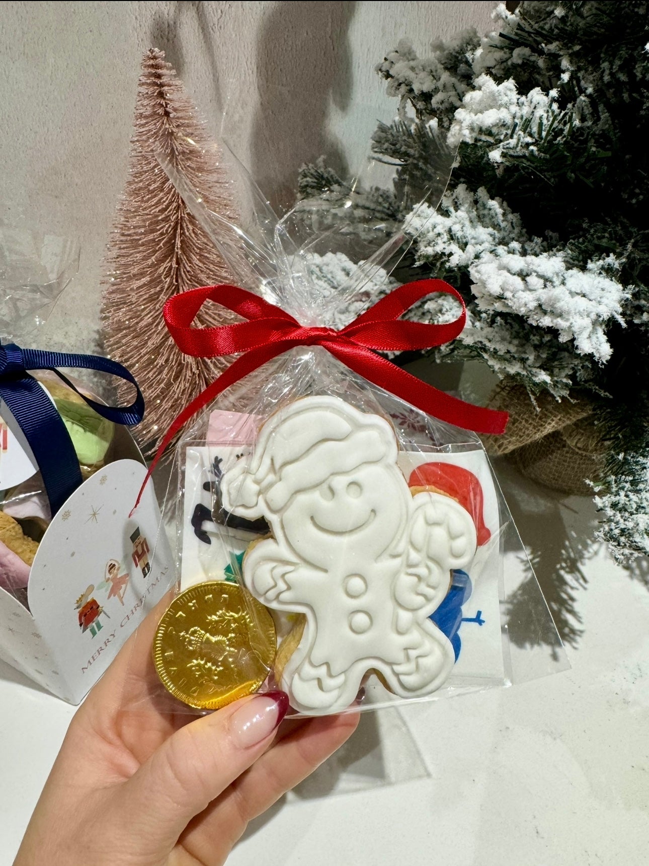 Christmas Individual Paint Your Own Biscuit